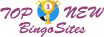 topnewbingosites.co.uk